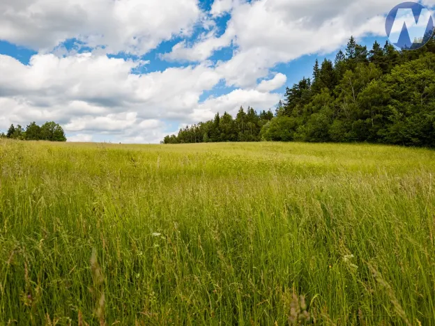 Prodej pozemku pro bydlení, Prachatice - Perlovice, 2650 m2