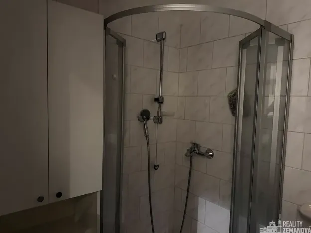 Pronájem bytu 4+kk, Praha - Vinohrady, Řipská, 135 m2