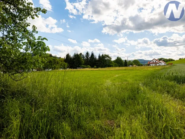 Prodej pozemku pro bydlení, Brloh - Rojšín, 1291 m2