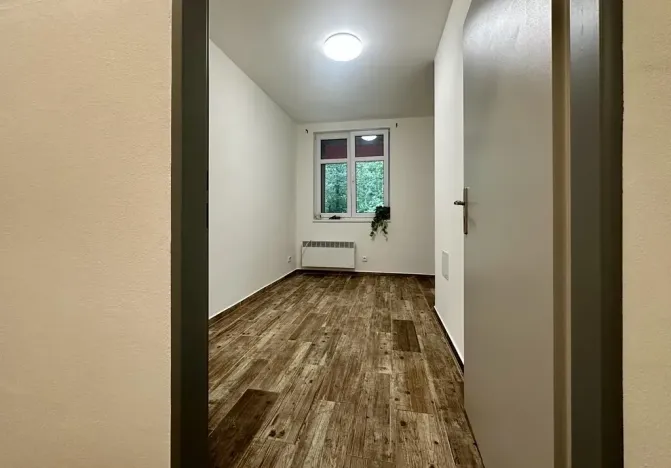 Pronájem bytu 2+kk, Plzeň, Mánesova, 43 m2