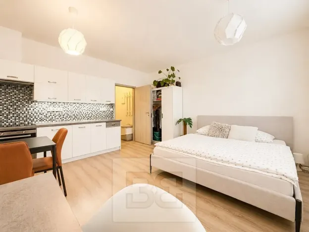 Pronájem bytu 1+kk, Brno, Vranovská, 26 m2