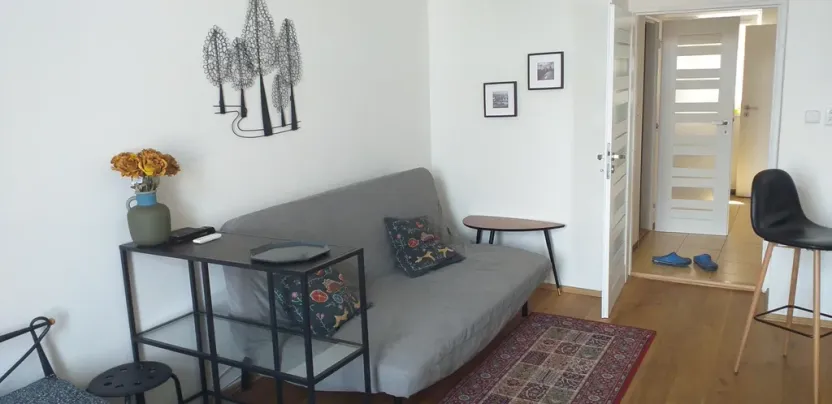 Pronájem bytu 1+1, Praha - Žižkov, Seifertova, 35 m2