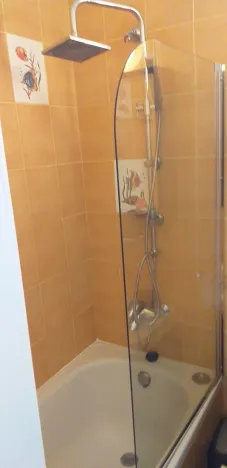 Pronájem bytu 1+1, Praha - Žižkov, Seifertova, 35 m2
