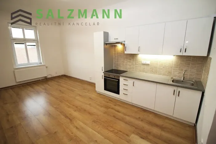 Pronájem bytu 2+1, Plzeň, Plachého, 71 m2
