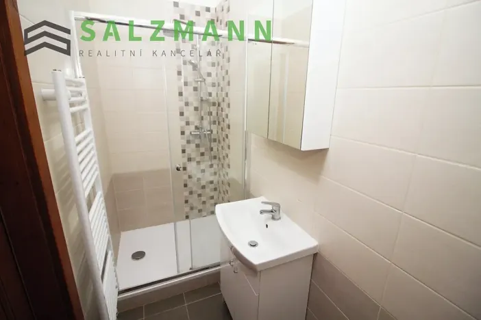 Pronájem bytu 2+1, Plzeň, Plachého, 71 m2