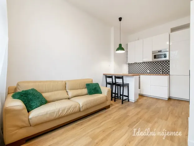 Pronájem bytu 2+kk, Praha - Nusle, Čiklova, 47 m2