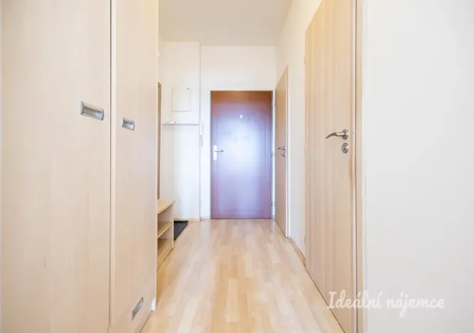 Pronájem bytu 1+kk, Praha, Freyova, 33 m2