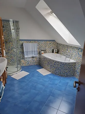 Pronájem rodinného domu, Benátky nad Jizerou, Pražská, 200 m2