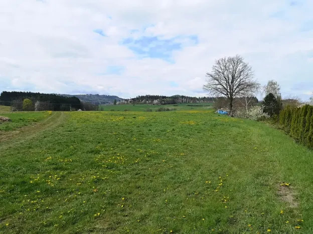 Prodej komerčního pozemku, Radomyšl, 10000 m2