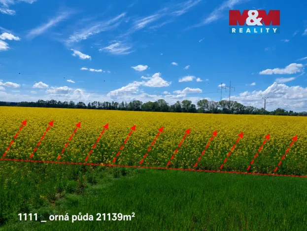 Prodej pole, Pňov-Předhradí - Pňov, 142115 m2
