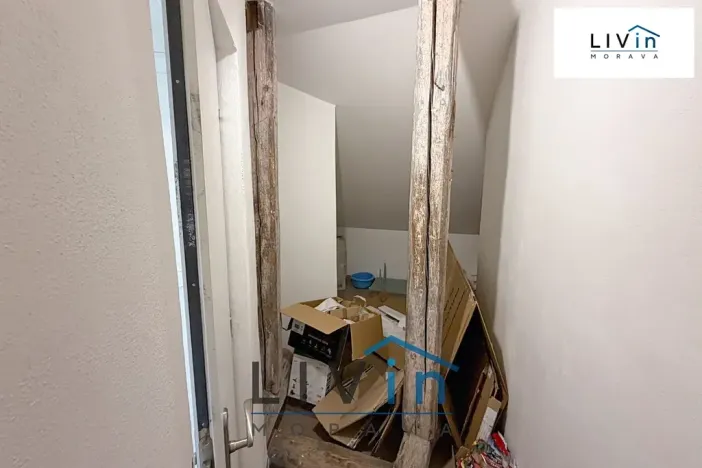 Pronájem bytu 1+kk, Olomouc, Krakovská, 80 m2