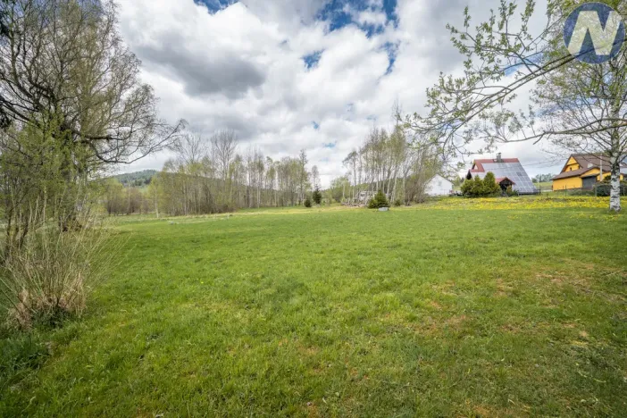 Prodej pozemku pro bydlení, Strážný, 2500 m2