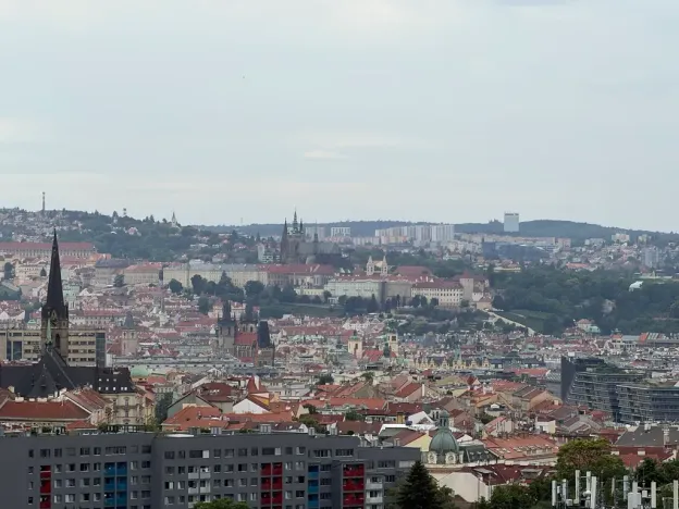 Pronájem bytu 3+kk, Praha - Žižkov, Olšanská, 83 m2