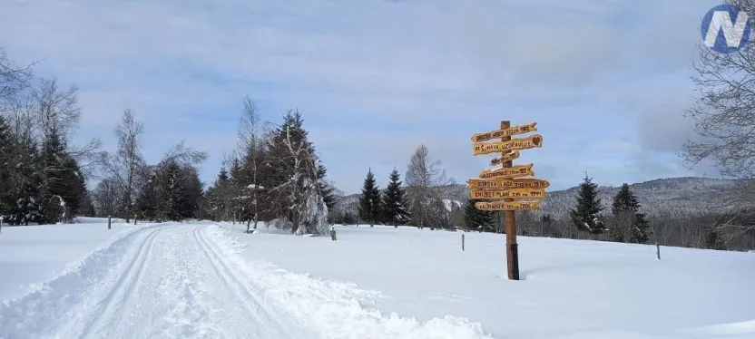 Prodej pozemku pro bydlení, Strážný, 5195 m2