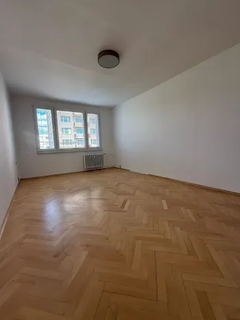 Prodej bytu 2+1, Písek, nábřeží 1. máje, 60 m2