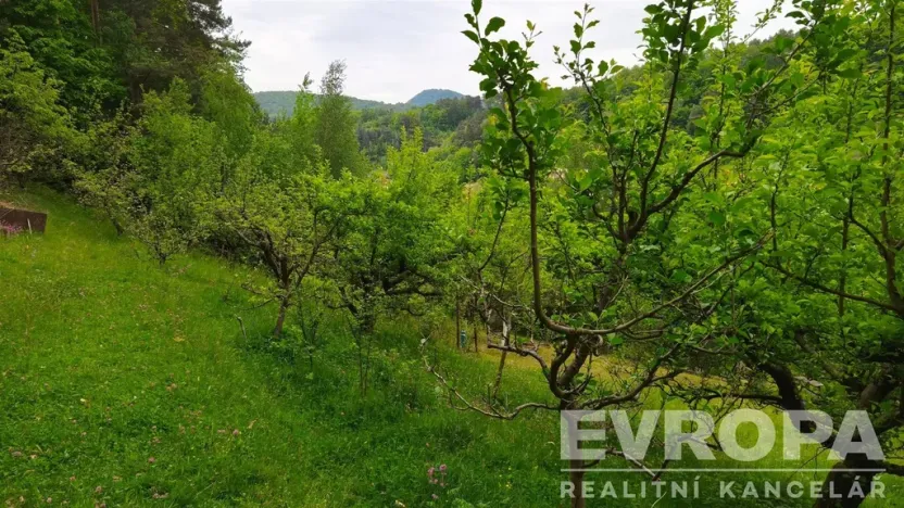 Prodej zahrady, Děčín, 1185 m2