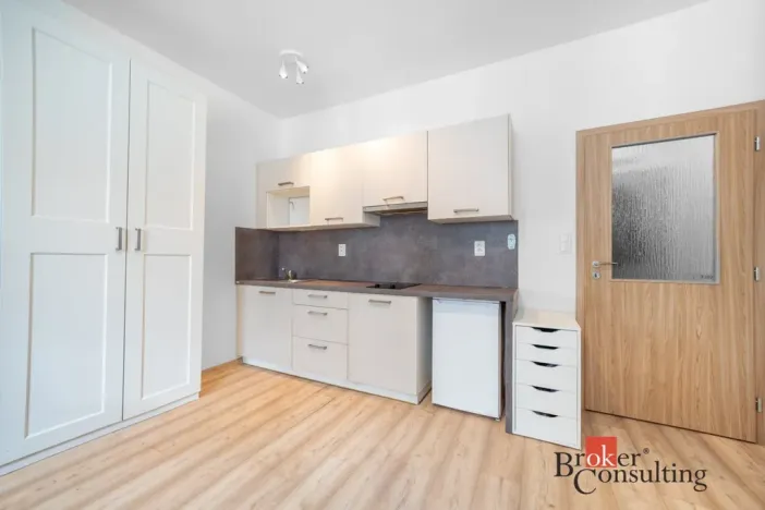 Prodej bytu 1+kk, Brno, Vlhká, 28 m2