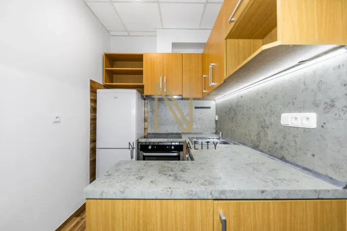 Pronájem bytu 1+1, Radnice, Na Potocích, 32 m2