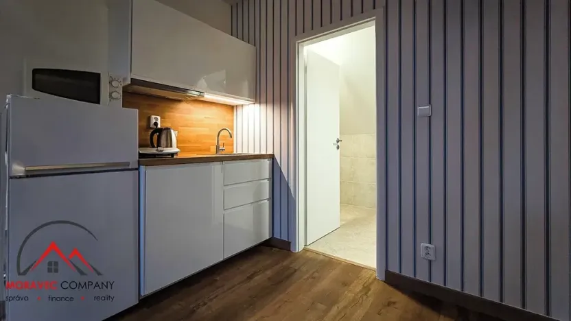 Pronájem bytu 1+kk, Ostrava, Cihelní, 38 m2