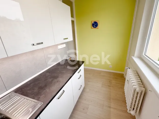 Pronájem bytu 1+1, Zlín, Dřevnická, 39 m2