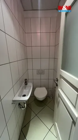 Pronájem ubytování, Veselí nad Lužnicí - Veselí nad Lužnicí I, náměstí T. G. Masaryka, 170 m2