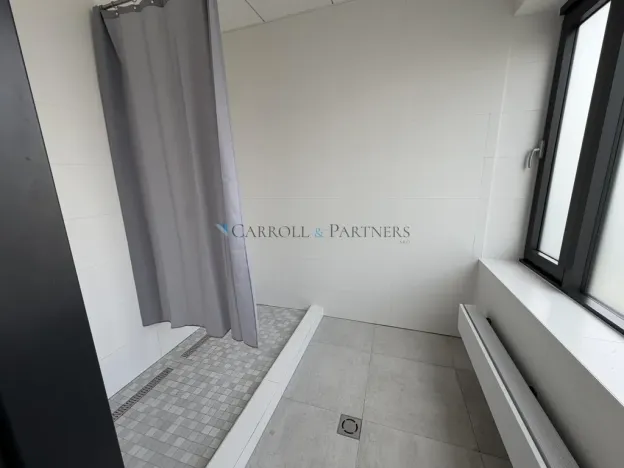 Pronájem skladu, Ostrava - Poruba, 17. listopadu