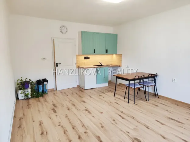 Pronájem bytu 1+kk, České Budějovice - České Budějovice 3, Lipenská, 27 m2