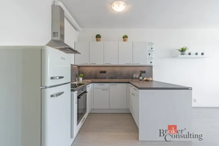 Pronájem bytu 1+kk, Brno - Ponava, Střední, 39 m2