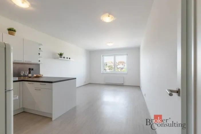 Pronájem bytu 1+kk, Brno - Ponava, Střední, 39 m2