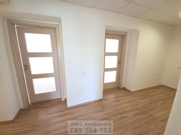 Pronájem bytu 3+kk, Krnov - Pod Cvilínem, Stará, 100 m2