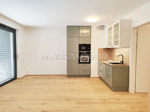 Pronájem bytu 1+kk, České Budějovice - České Budějovice 3, Fráni Šrámka, 41 m2