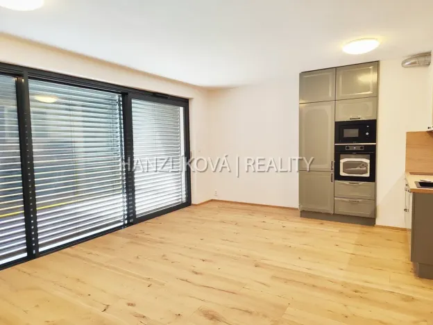 Pronájem bytu 1+kk, České Budějovice - České Budějovice 3, Fráni Šrámka, 41 m2