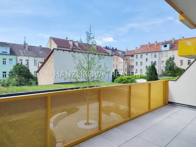 Pronájem bytu 1+kk, České Budějovice - České Budějovice 3, Fráni Šrámka, 41 m2