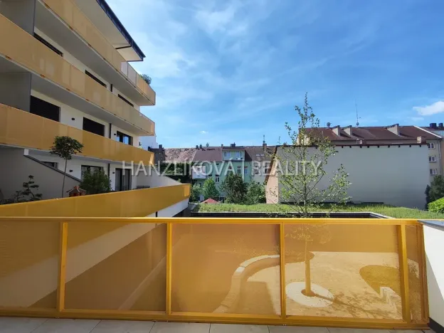 Pronájem bytu 1+kk, České Budějovice - České Budějovice 3, Fráni Šrámka, 41 m2