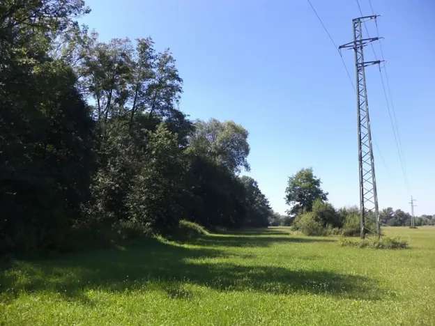 Dražba louky, Studénka, 4728 m2