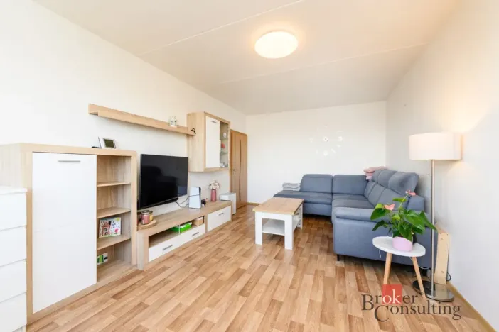 Prodej bytu 3+1, Plzeň, Hodonínská, 77 m2