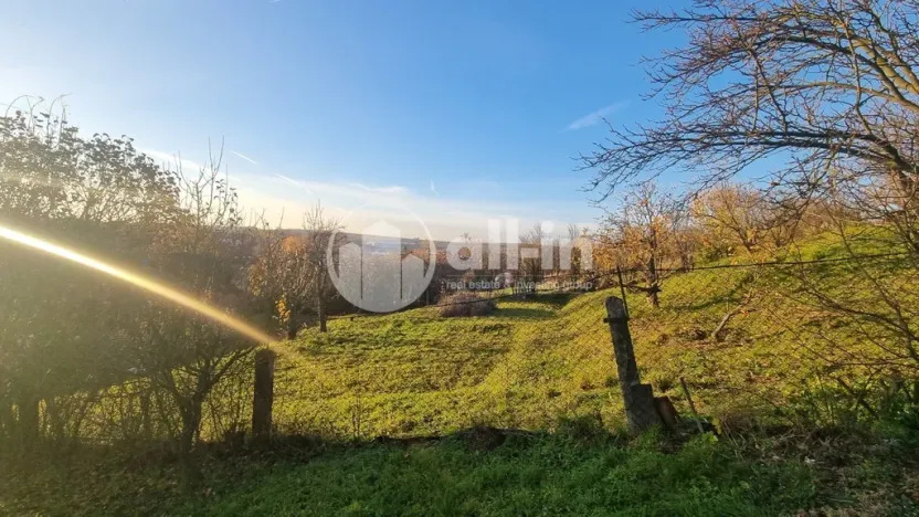 Prodej rodinného domu, Vážany, 217 m2