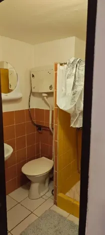 Pronájem bytu 1+kk, Třebotov, Karlštejnská, 28 m2