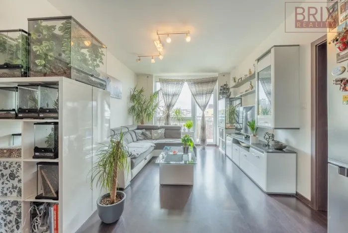 Pronájem bytu 2+kk, Praha, Svitákova, 54 m2