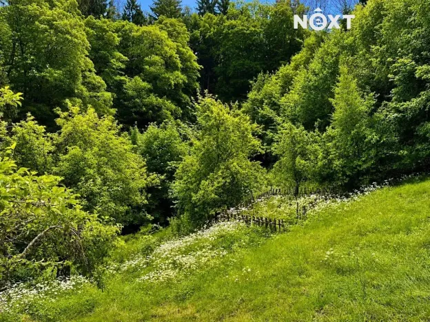 Prodej pozemku pro bydlení, Liberec, Za Tratí, 5154 m2