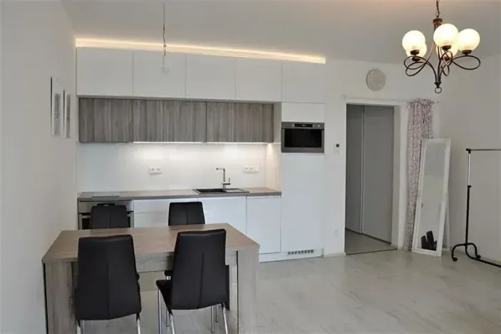 Pronájem bytu 1+kk, Olomouc, Loudova, 37 m2
