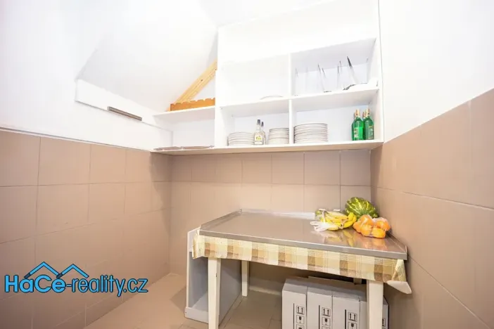 Prodej komerční nemovitosti, Slatina nad Zdobnicí, 572 m2