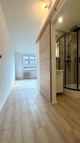 Pronájem bytu 1+kk, Cheb, Nová, 20 m2