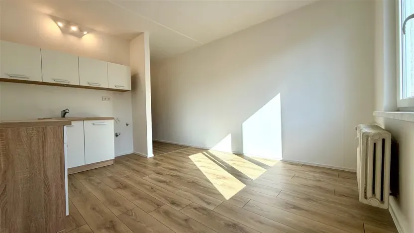 Pronájem bytu 1+kk, Cheb, Nová, 20 m2
