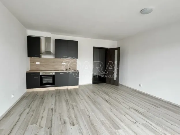 Pronájem bytu 1+kk, Plzeň - Bolevec, Studentská, 37 m2