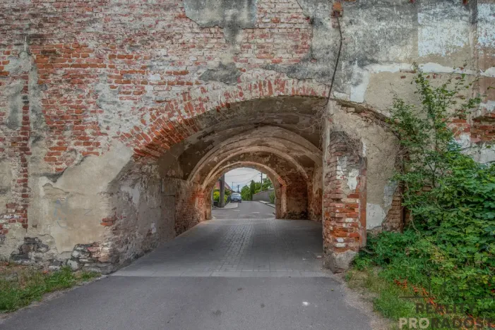 Prodej historického objektu, Tasovice, 1100 m2