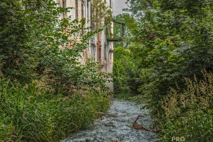 Prodej historického objektu, Tasovice, 1100 m2