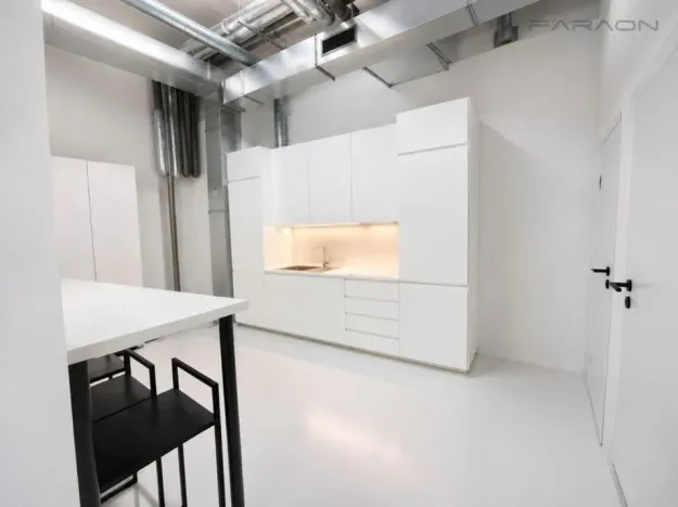 Pronájem obchodního prostoru, Praha - Nusle, Bartoškova, 365 m2