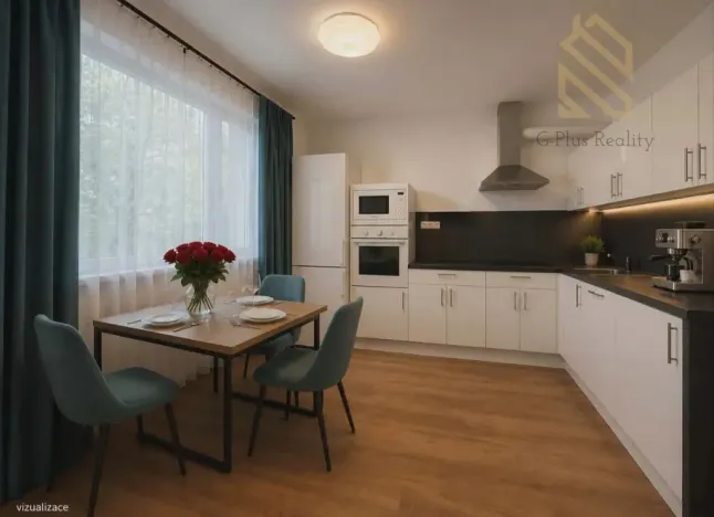Pronájem bytu 1+1, Louny, Březinova, 37 m2