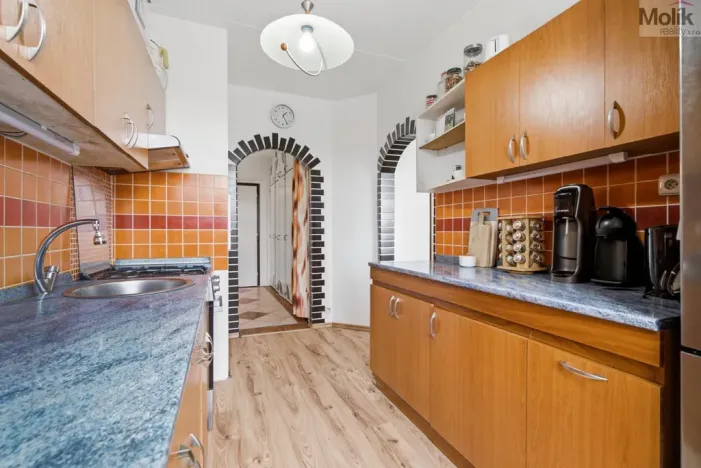 Prodej bytu 4+1, Teplice - Trnovany, Krušnohorská, 83 m2